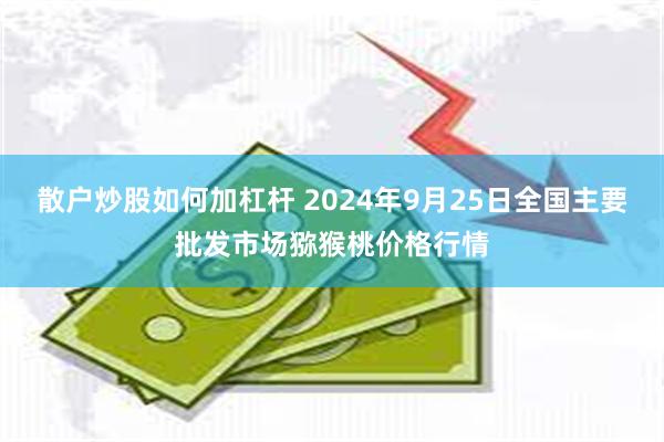 散户炒股如何加杠杆 2024年9月25日全国主要批发市场猕猴桃价格行情