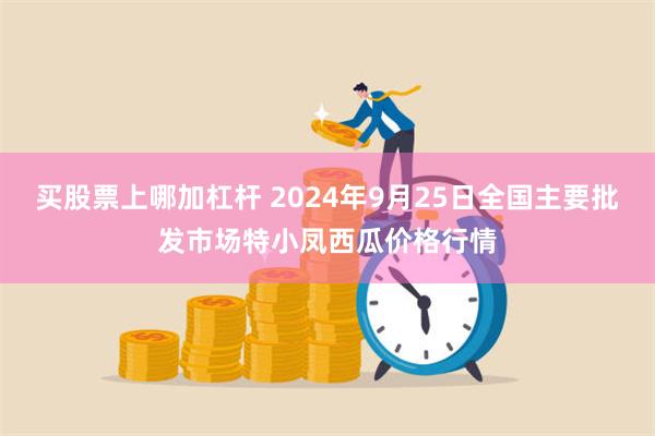 买股票上哪加杠杆 2024年9月25日全国主要批发市场特小凤西瓜价格行情