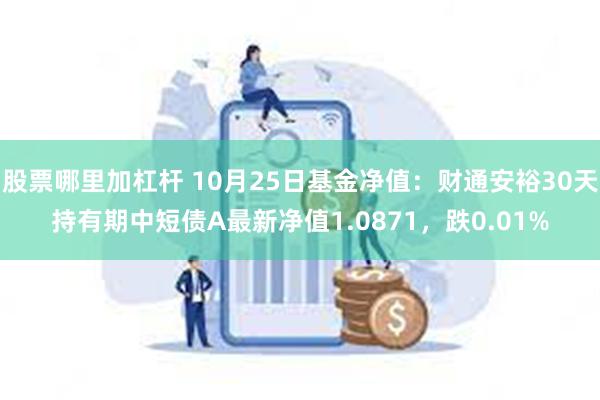 股票哪里加杠杆 10月25日基金净值：财通安裕30天持有期中短债A最新净值1.0871，跌0.01%