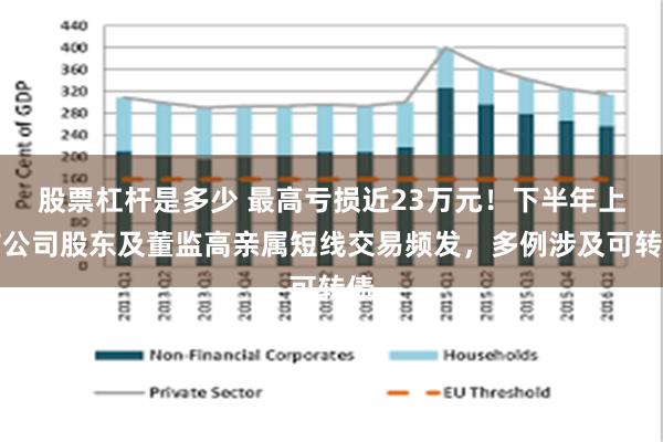 股票杠杆是多少 最高亏损近23万元！下半年上市公司股东及董监高亲属短线交易频发，多例涉及可转债