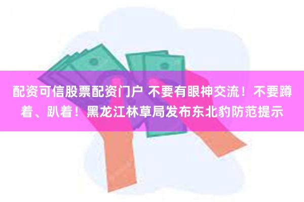 配资可信股票配资门户 不要有眼神交流！不要蹲着、趴着！黑龙江林草局发布东北豹防范提示