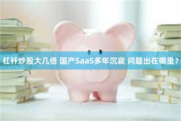 杠杆炒股大几倍 国产SaaS多年沉寂 问题出在哪里？